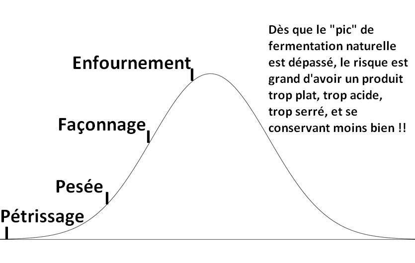 Courbe de fermentation du levain