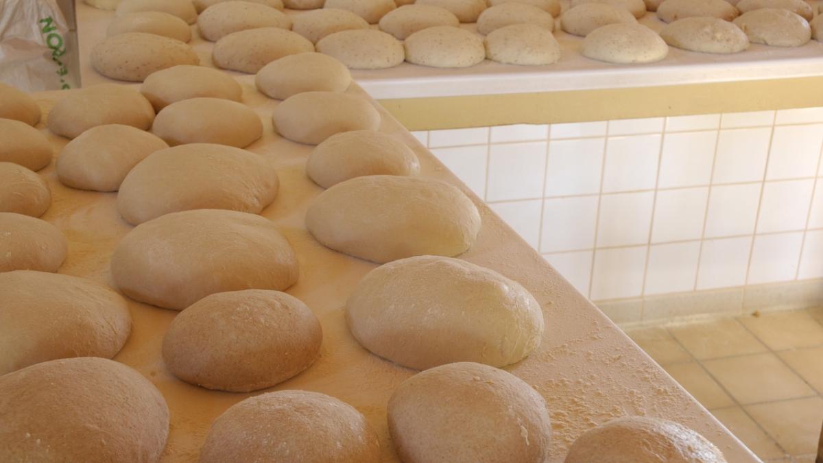 Patons